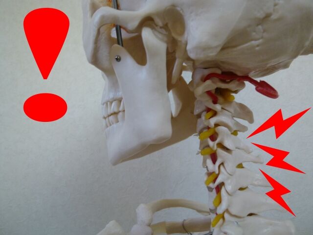 1622285_s.jp