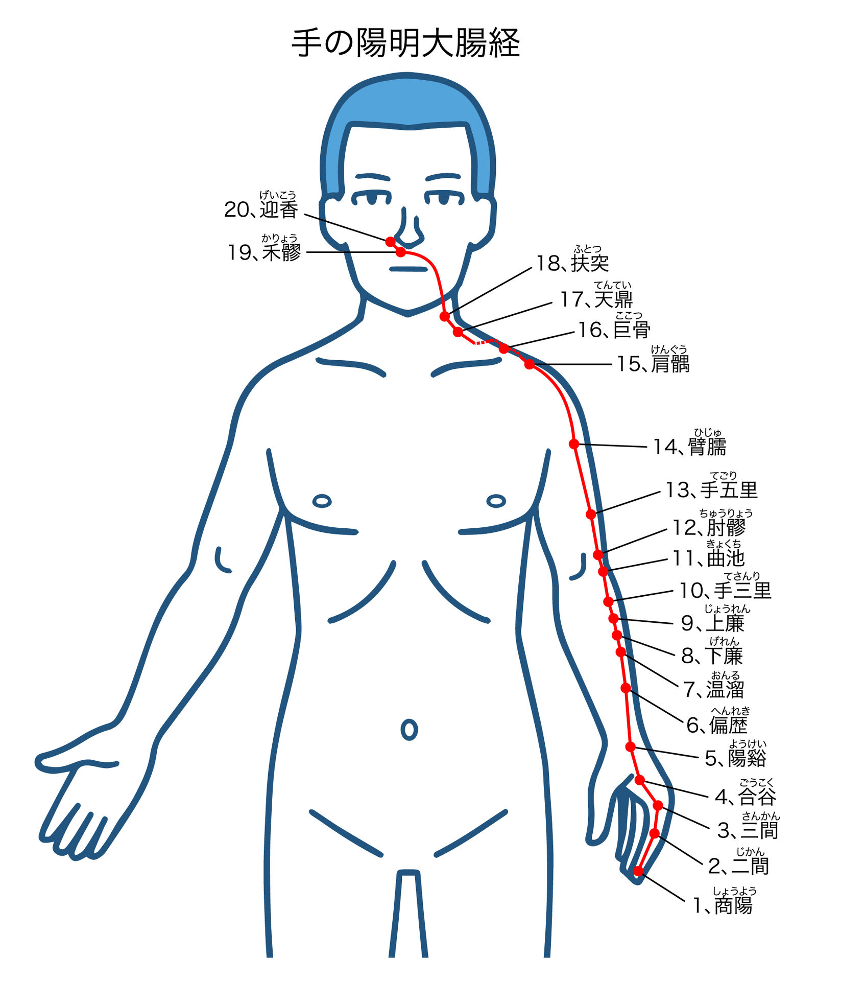 大腸.jp