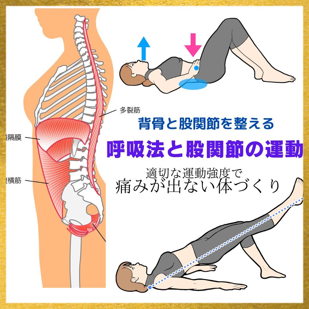 股関節.jp