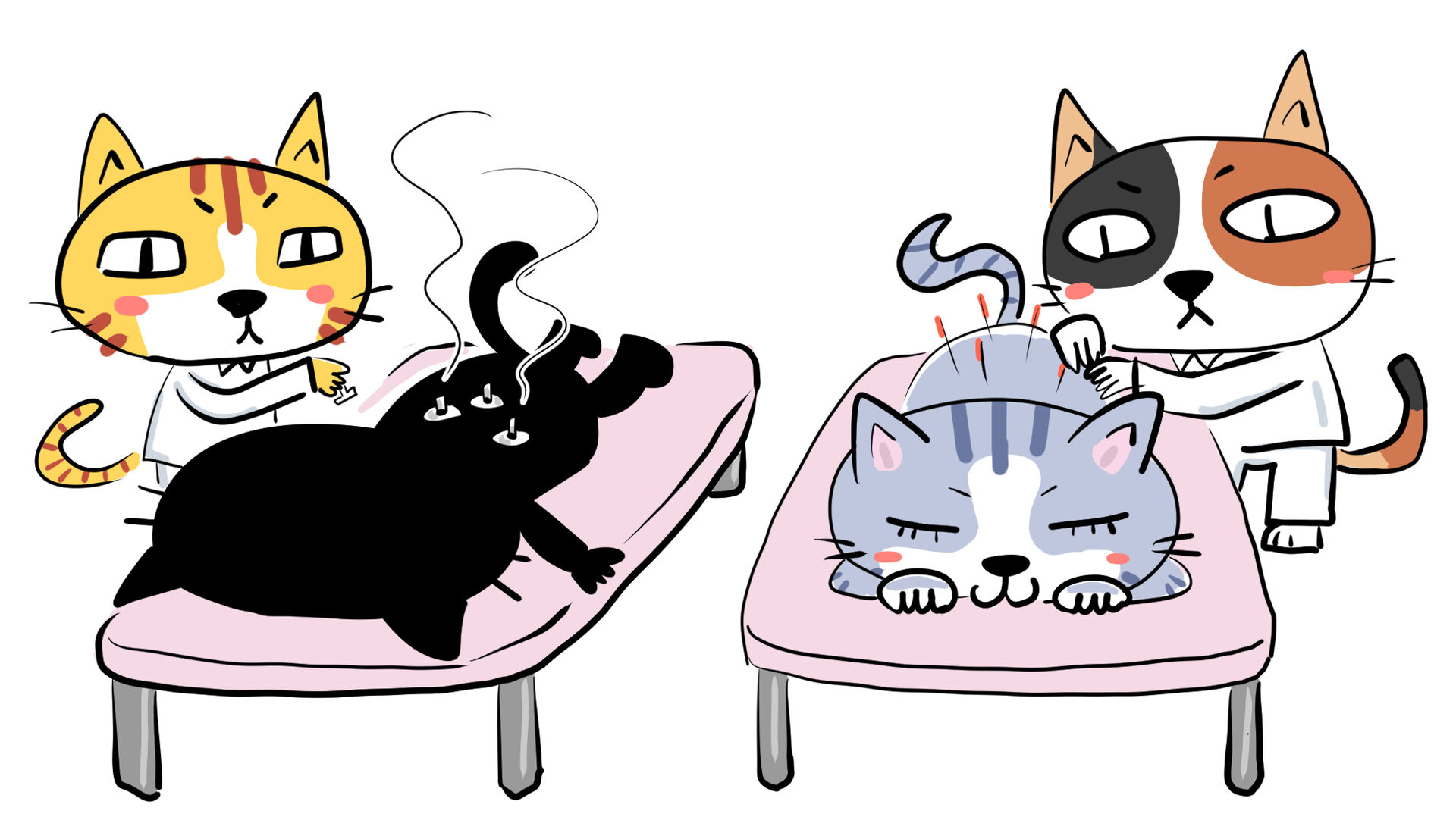 猫.jp