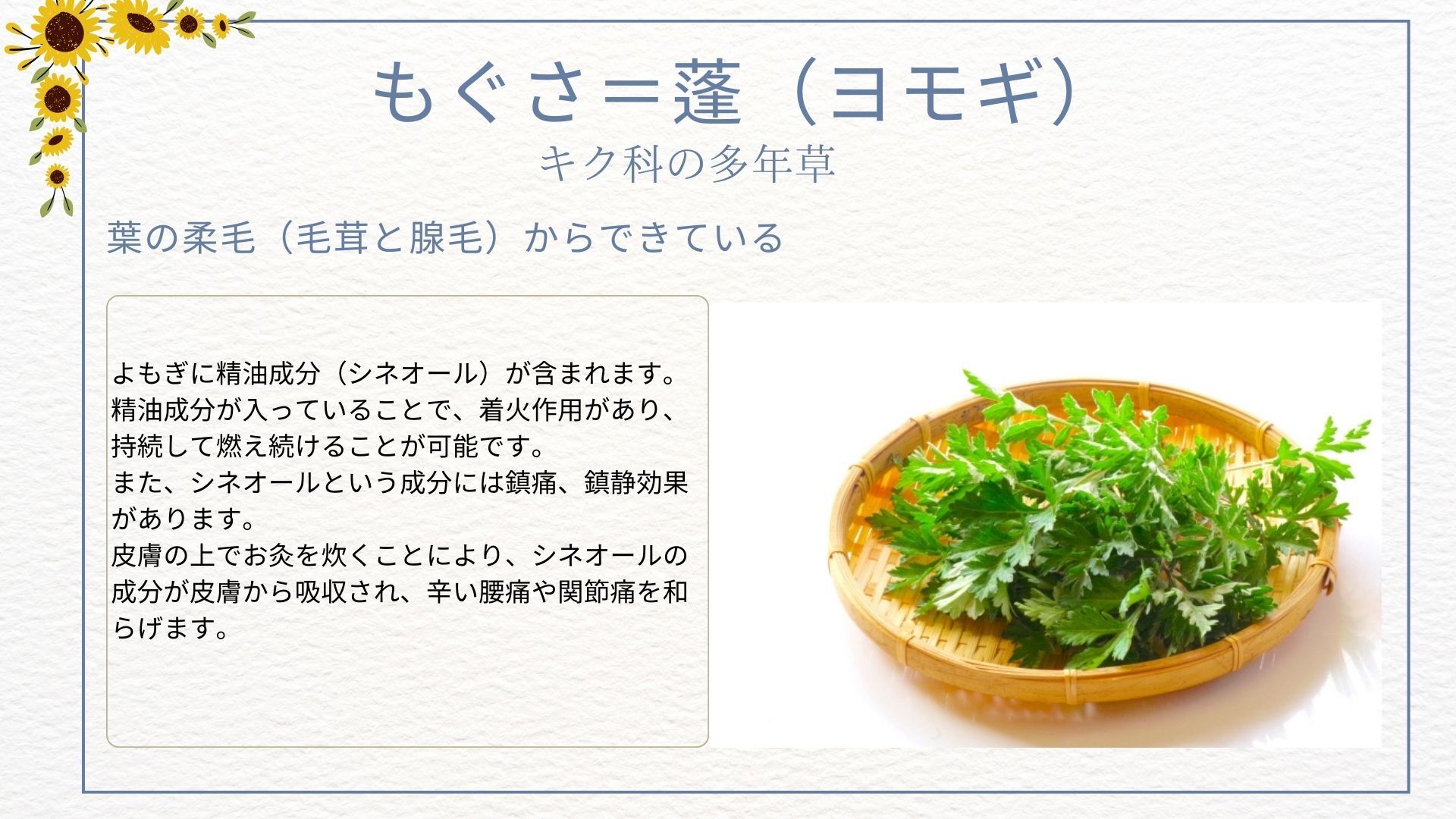 ブログ