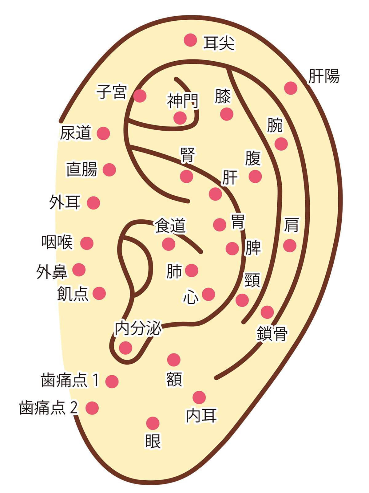 22277623.jp
