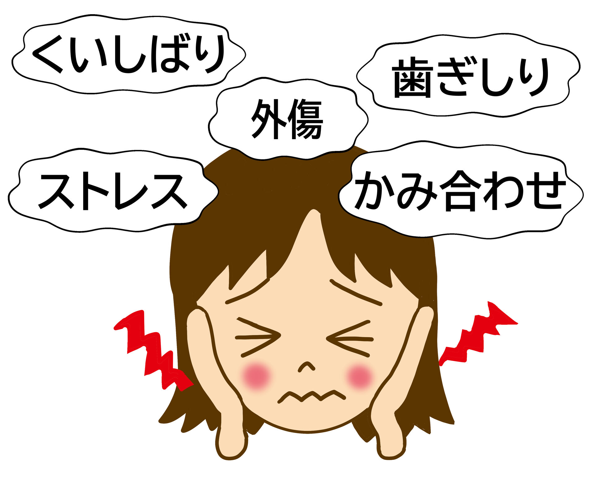 23129827.jp